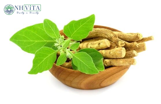 Ashwagandha Anti Stress & Energy Booster uses and Benefits